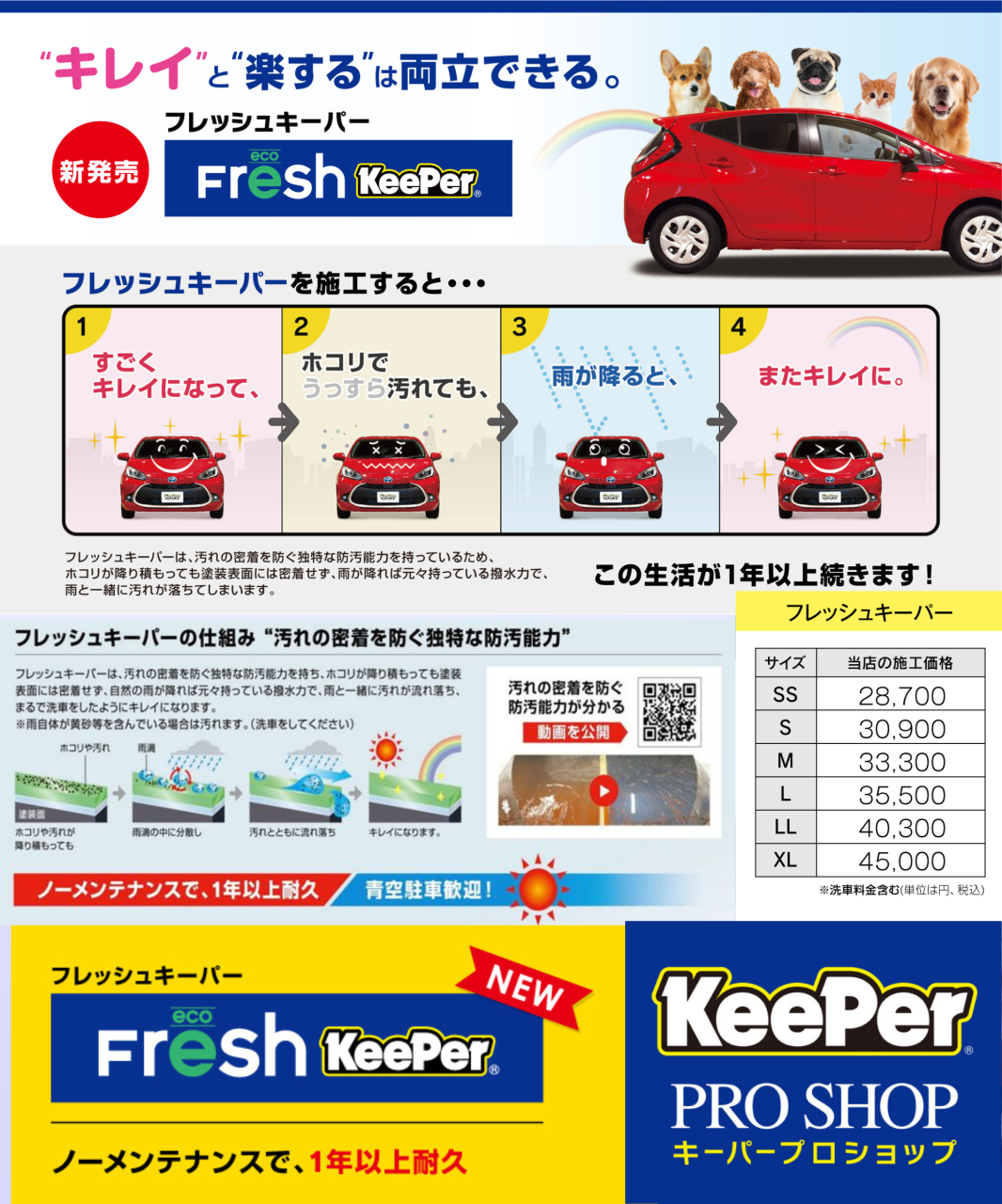 フレッシュ202504